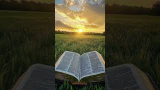 🛑JESUS A LUZ DO MUNDO #🔥🔥🔥🔥