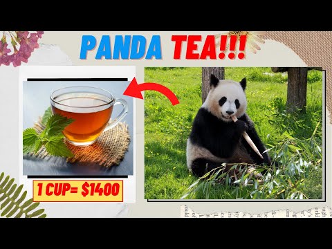 Most Expensive Tea Made from 