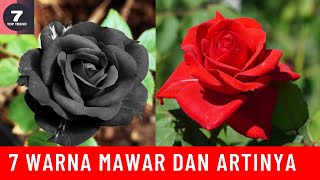 TOP 7 WARNA BUNGA MAWAR DAN ARTINYA, PILIH WARNANYA SESUAI DENGAN KEBUTUHANMU