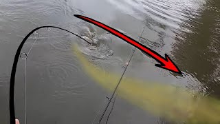 HUGE Mystery Fish In A City Drain!!! (Have You EVER Seen This Happen?)