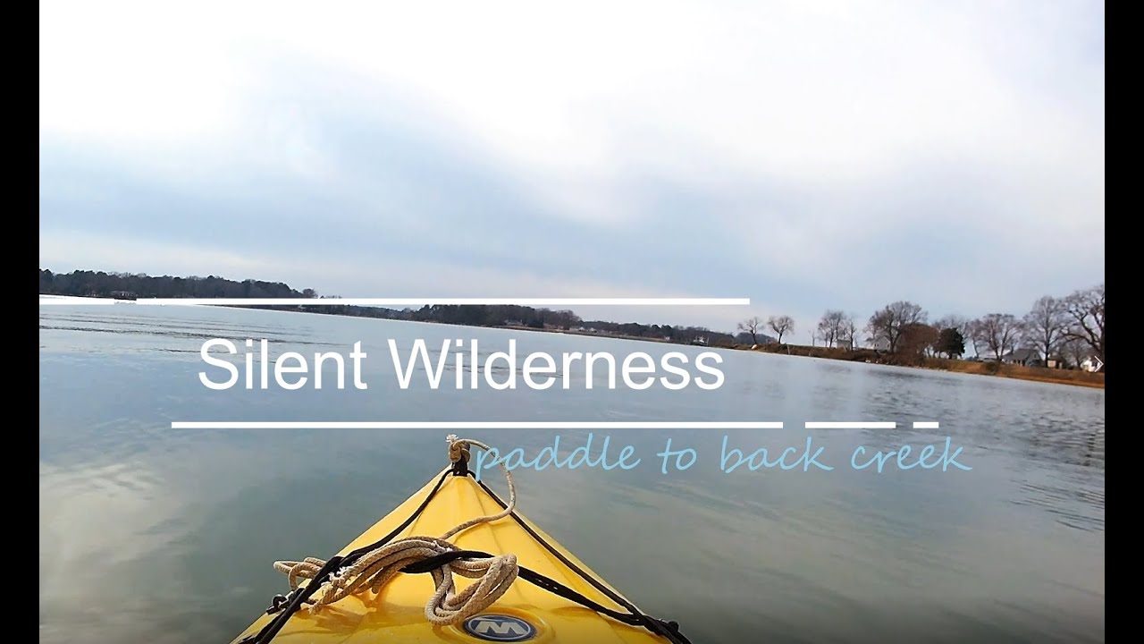 Paddle to Back Creek in a Wilderness Systems Pungo 120