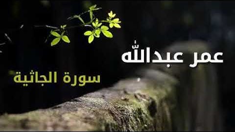 عمر عبدالله سورة الجاثية