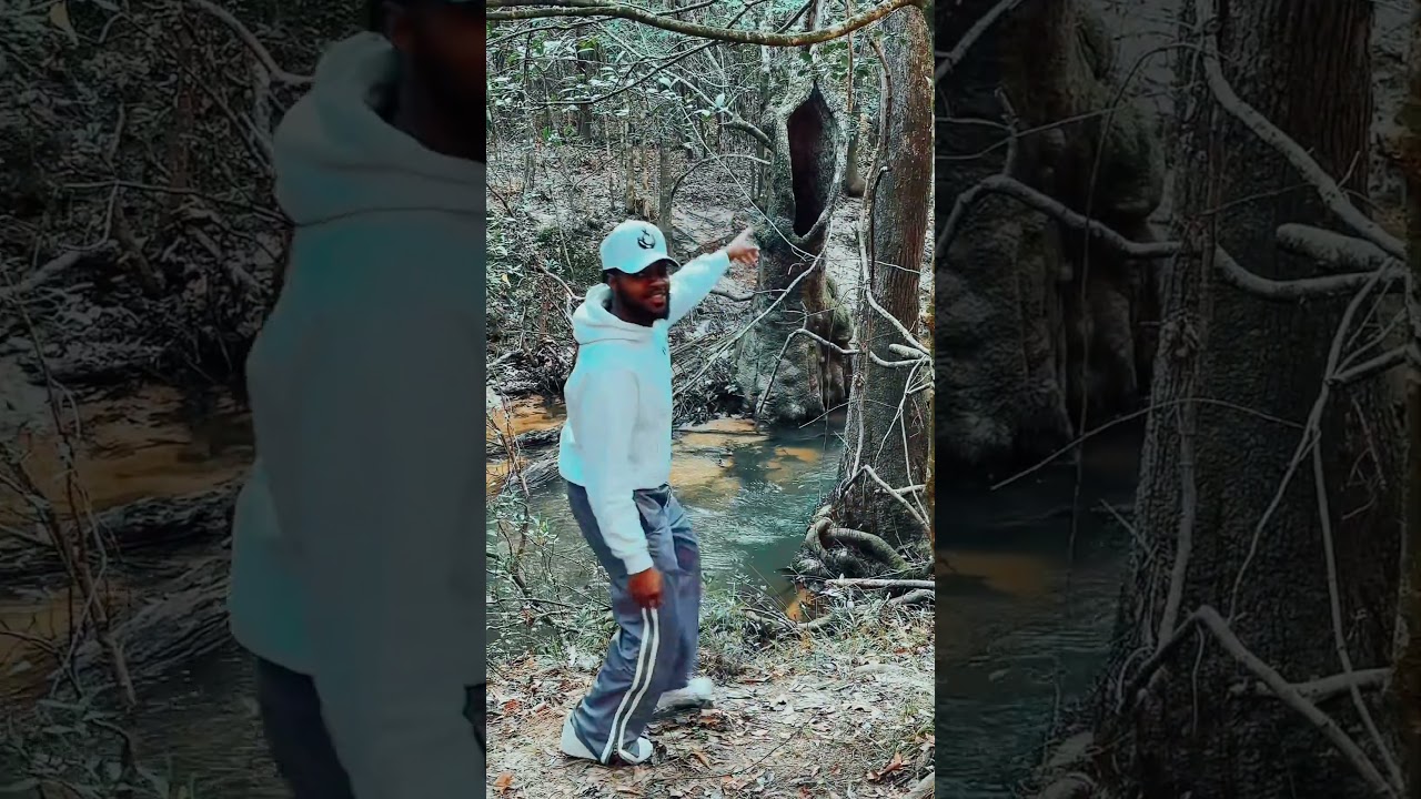 Crazy tree in the woods! 