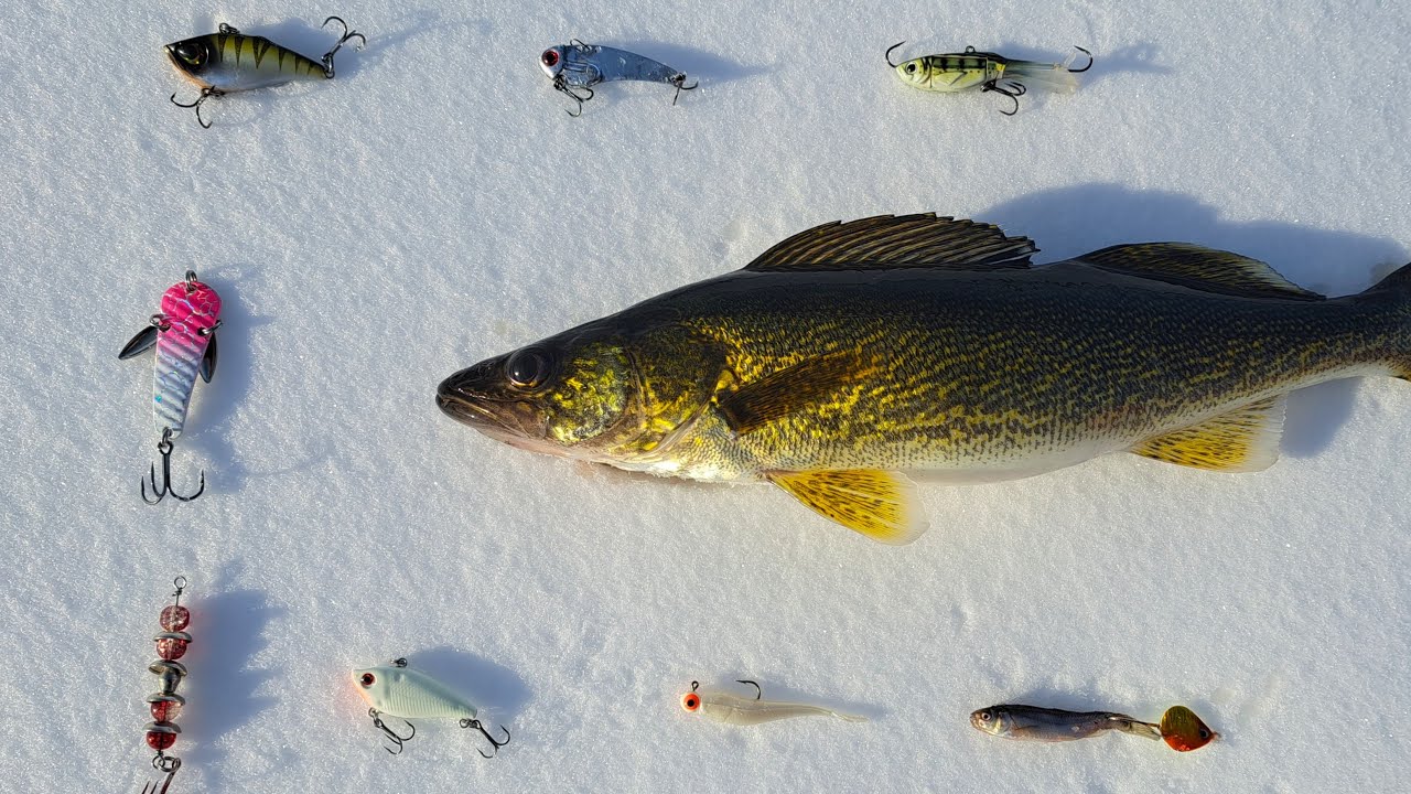 Best Lures for Winter/Ice Fishing Walleye 