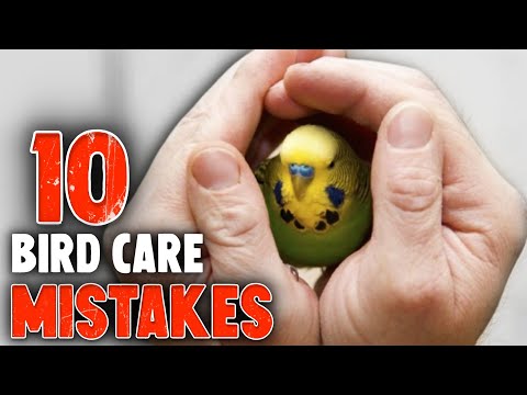 10 Common Mistakes