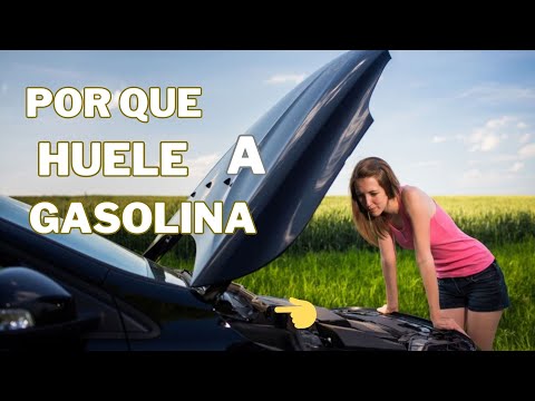 Porque Huele A Gasolina? (Aquí La Respuesta)