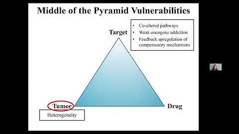 ICRN/ENS-CCA Translational Science Webinar Series: "Next Steps with FGFRi”
