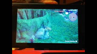 Xc2 Main Game Precise Dromarch Jump Into The Tree Trunk Hole In Nocclia Woods