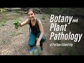 Botany and plant pathology  explore the possibilities in purdue agriculture