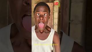 Creative Beautiful ideas 💡Parrot Trap #shorts​ #youtubeshorts #ytshorts #nature #funny #parrot #bird