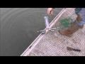 magnet fishing