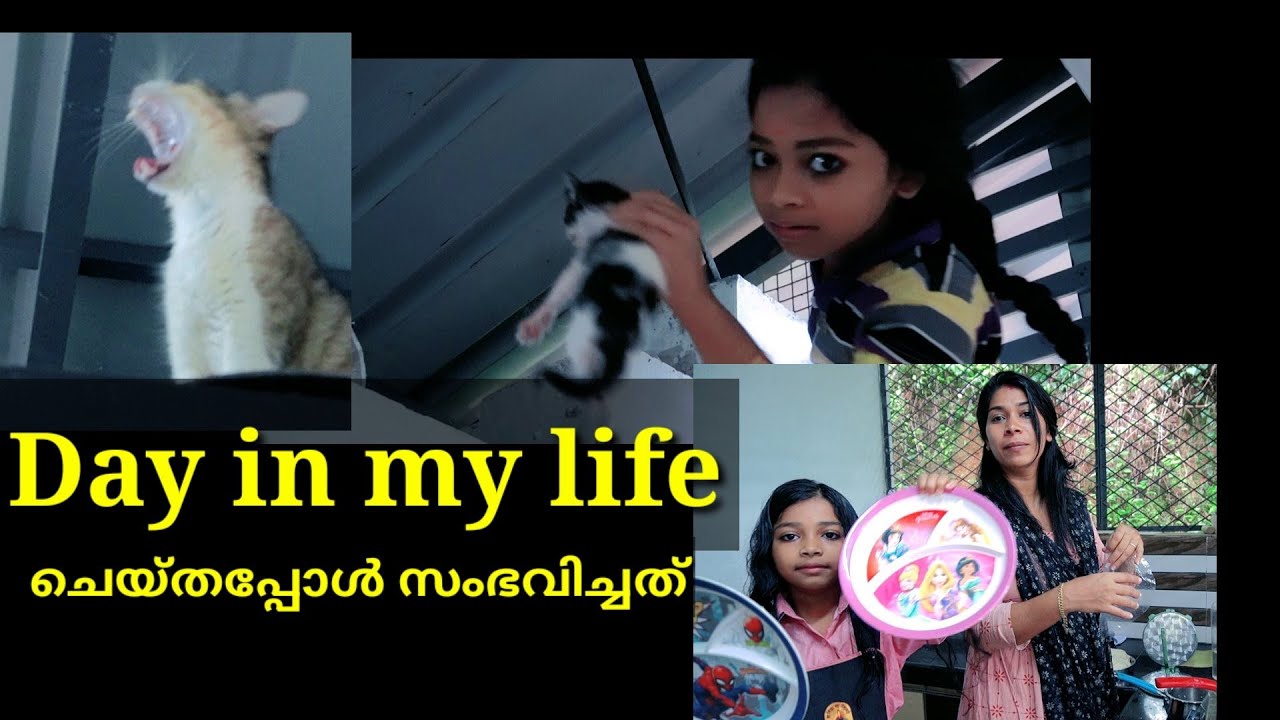 school ൽ പോകുന്ന സംഭവങ്ങൾ #avooos #dayinthelife