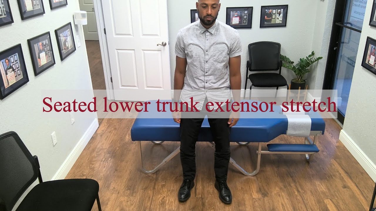 Low back (Seated lower trunk extensor stretch) - YouTube
