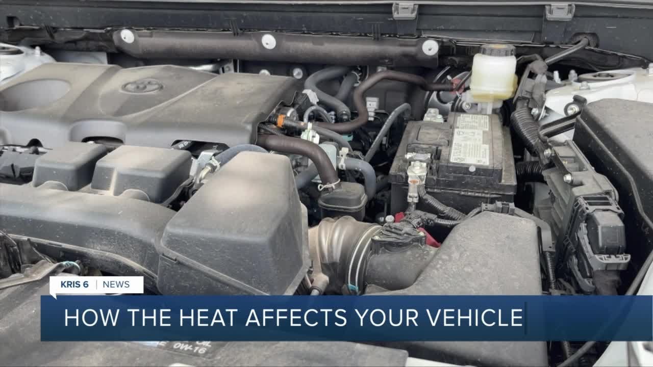 Easy Ways To Keep Your Car Cool And Clean This Summer