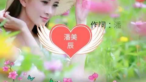 《我曾用心愛著你》 演唱 : 潘美辰