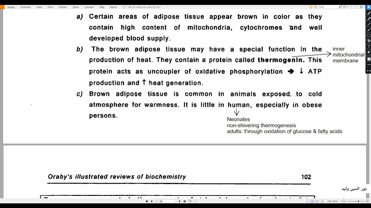 Biochemistry 5 Lipids TAGs metabolism YouTube