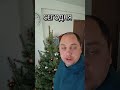 Когда выбрасывать елку?