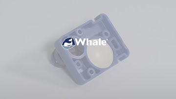 Whale | How to Replace Whale Non Return Valve