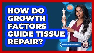 How Do Growth Factors Guide Tissue Repair?