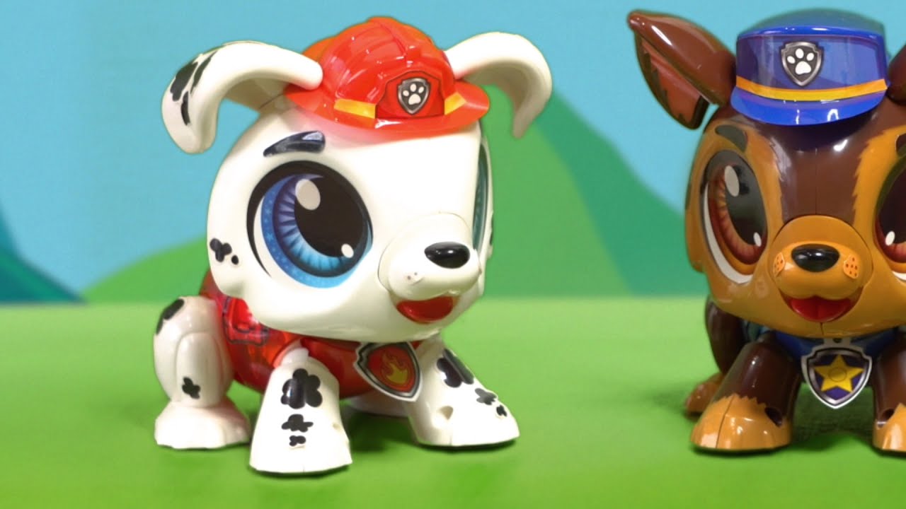Build a Bot Paw Patrol - Instructional Video