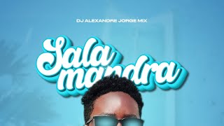 DJ Alexandre Jorge Mix - Salamandra (Original Mix) | Benga 2024