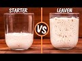 Sourdough Starter And Leaven Explained Are They The Same Thing
