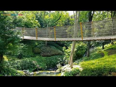 Yıldız Parkı Korusu