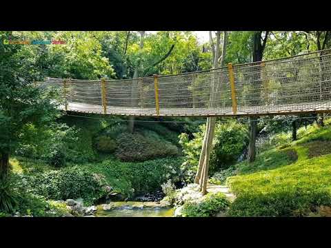 Yıldız Parkı Korusu - İstanbul (Yeni Hali) [4K]