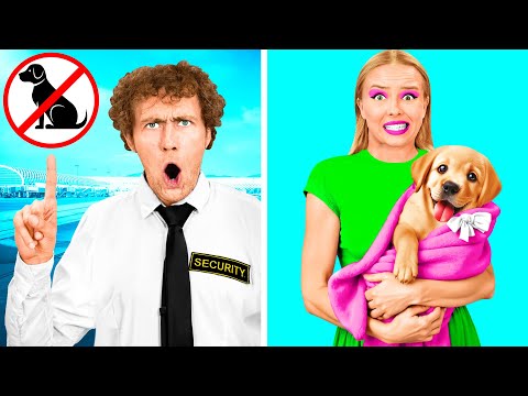 Cách Tuồn Thú Cưng Lên Máy Bay | Những Khoảnh Khắc Hài Hước Fun Fun Challenge