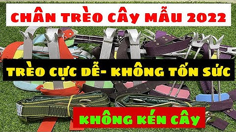 Dụng Cụ Trèo Cây Đa Năng Giá Rẻ| Guốc Trèo Cây Bắt Ong Hái Lan- Dây Bảo Hiểm Giá 200K| LH:0989925892