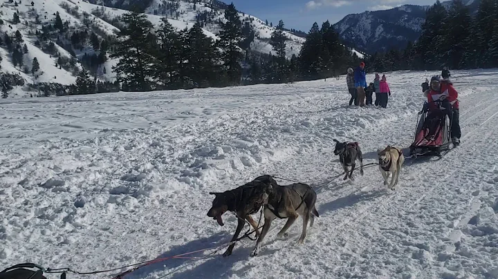 Bruce Magnusson finishing Alpine