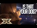 MAN BRINGS HIS DOG TO THE X FACTOR! | The X Factor UK Unforgettable Audition