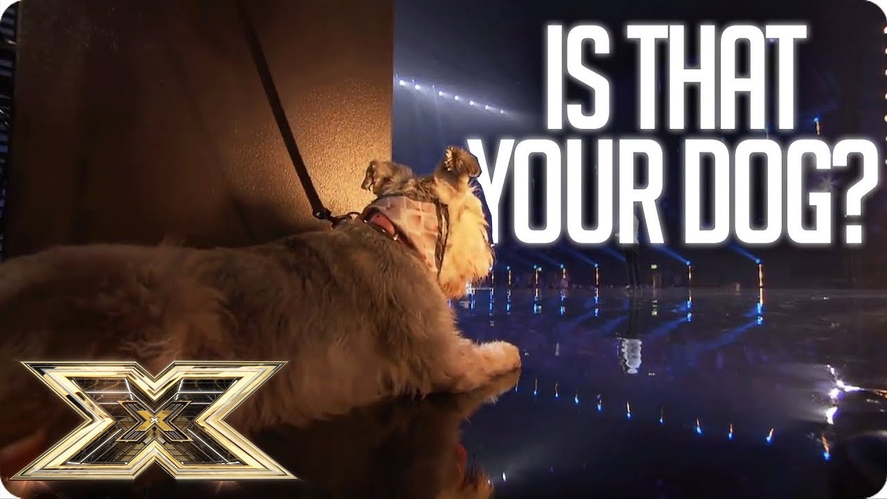 MAN BRINGS HIS DOG TO THE X FACTOR! | The X Factor UK Unforgettable Audition