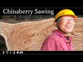 #11【製材】「バームクーヘン?!」 栴檀 センダン Chinaberry Sawing