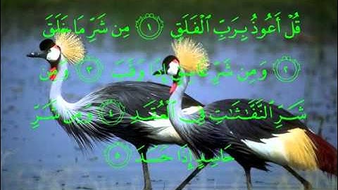 113 سورة الفلق بصوت الشيخ فارس عباد .wmv