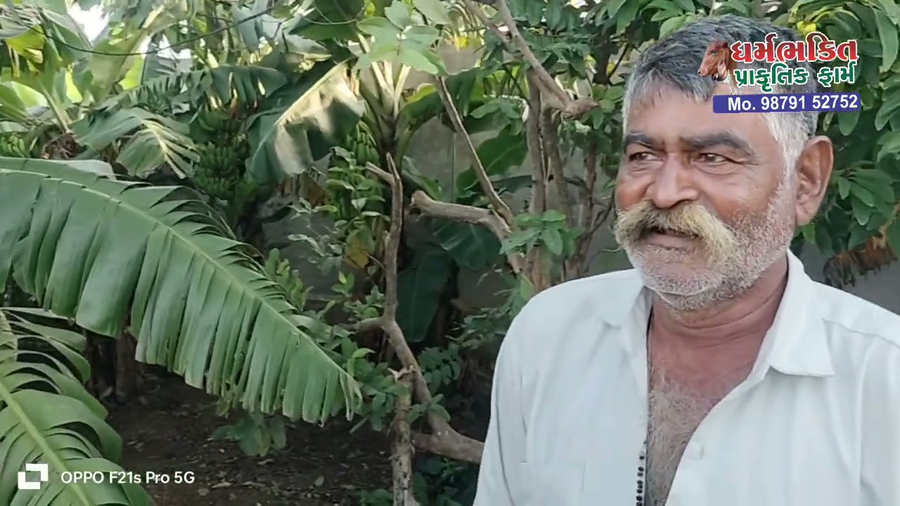 દુલા બાપાને સવા વીઘા નું ફળિયું