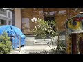 Karkhana- The Food Factory| fat_funny_foodie