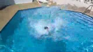 Skinny Kid Tanked By Fat Kid Pt. 2