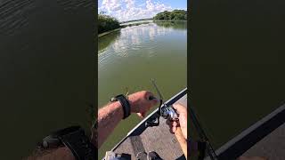 BIGBAIT TRICK SHAD 6” #fishing #pescaesportiva #bigbaits #fishing #pesca #outdoors #tucunare