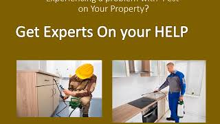 Concord Pest Control- Best Pest Control Service in Concord