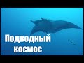 DIVING. Дайвинг в Мексике. КРАСОТИЩА НЕВЕРОЯТНАЯ!!!