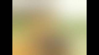 Download Lagu video blur.......AMELOANG DI ATE#SHALE AS# MP3