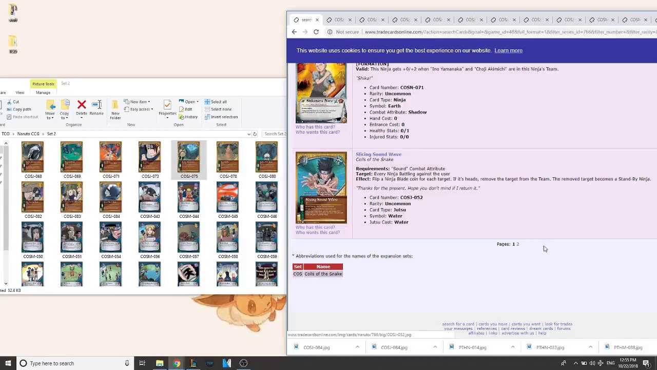 Card Game Conservation Stream