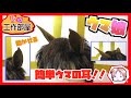 【ウマ娘】100均素材で簡単ウマの耳！！