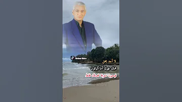 عدنان شانشيز 