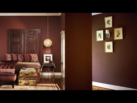 Vídeo: Color Marró A L’interior (72 Fotos): Una Combinació De Cafè, Xocolata I Altres Tons Amb Blau, Blau Clar I Altres Colors