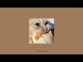 Sped up playlist with silly cats  playlist speed up sillycat  kittybrowniez