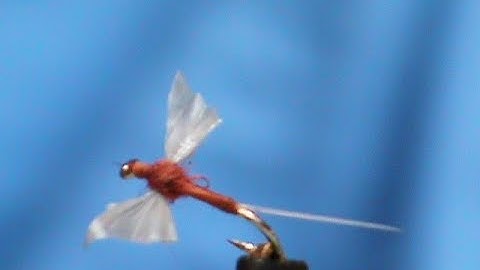 Fly Tying a GB Rusty Spinner with Jim Misiura