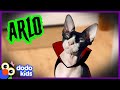 Cute Spooky Cat Keeps Scaring His Family | Happy Halloween | Dodo Kids