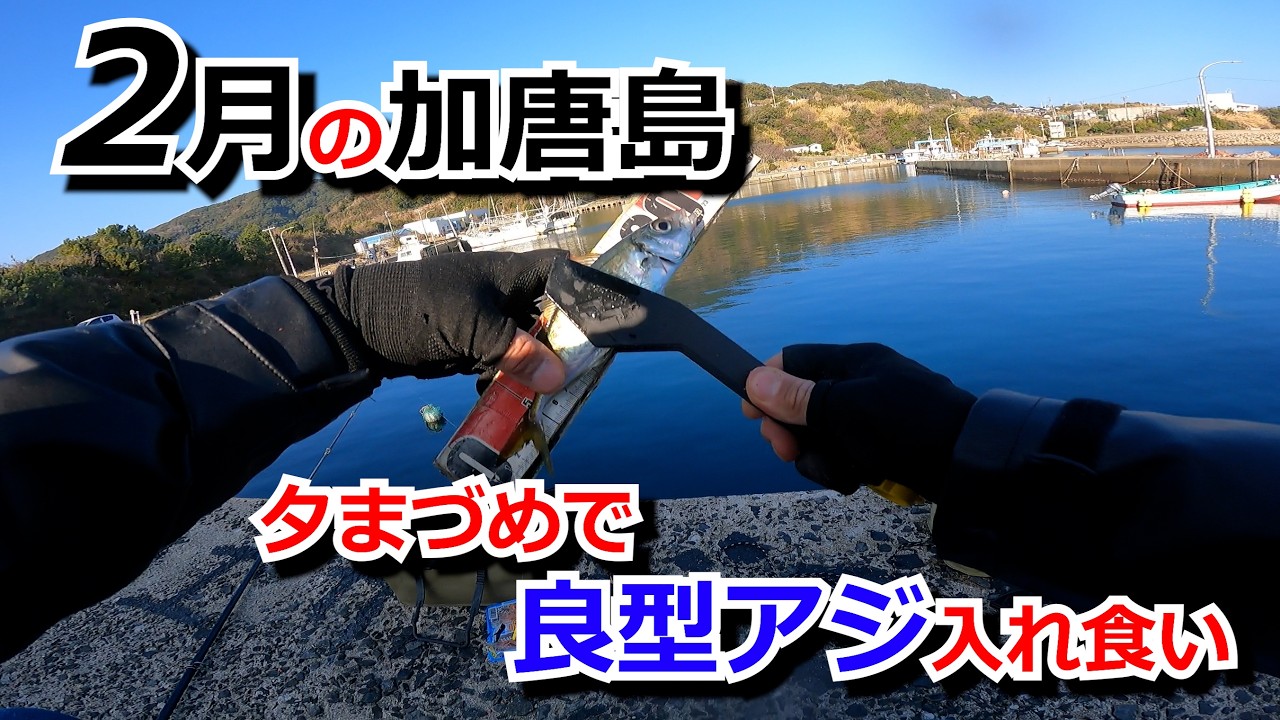 2026年2月中旬　佐賀県　加唐島　釣行